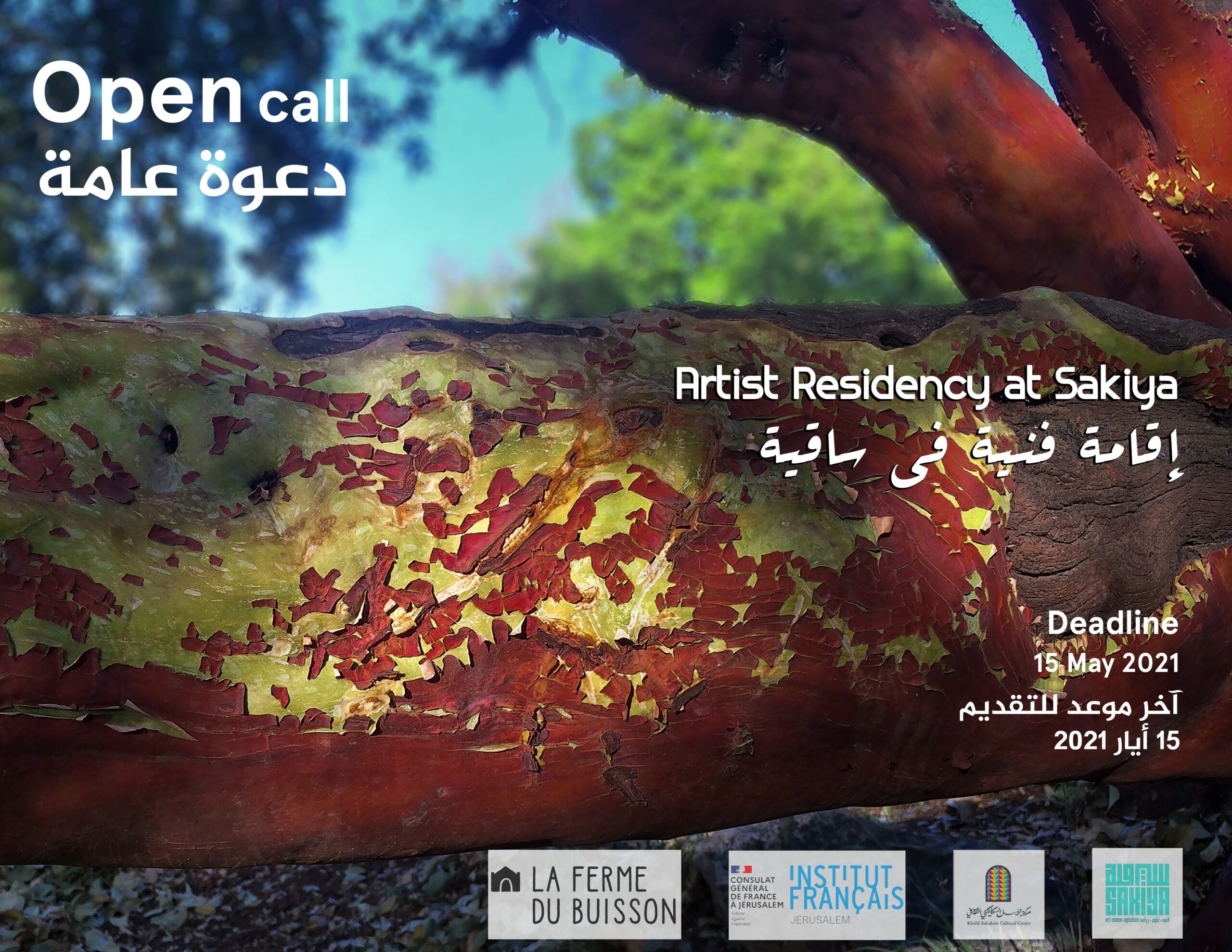 Sakiya Artist Residency / Open Cal